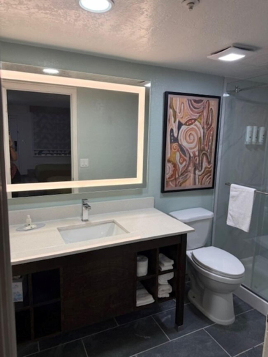 Bathroom 3, Quality Inn Casa Grande I-10, Pinal