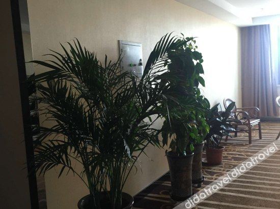 Others 5, Cheyou Hotel, Hami