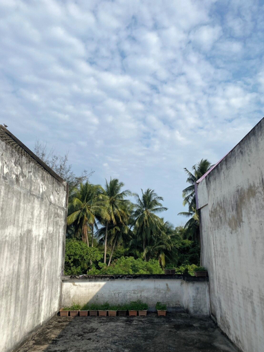 Miscellaneous, only fan guesthouse, Pathiu