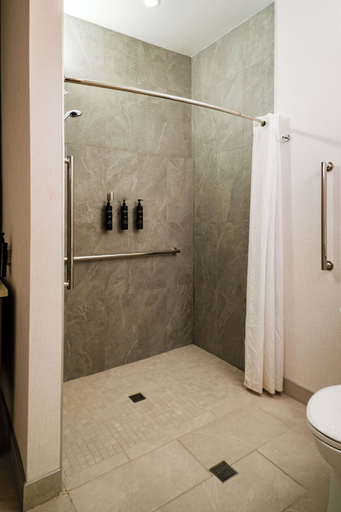 Bathroom 3, Scholar Morgantown, Tapestry Collection by Hilton, Monongalia
