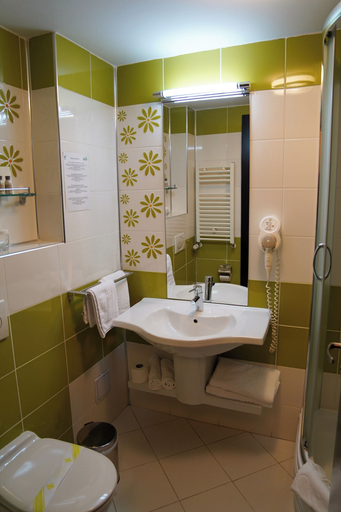 Bathroom 5, Caprioara Spa&Wellness Resort, Covasna