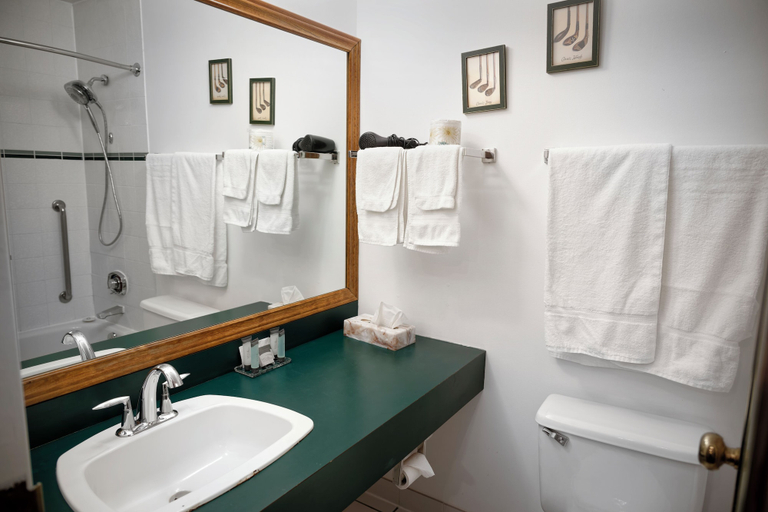 Bathroom 4, Liscombe Lodge Resort and Conference Centre, Guysborough