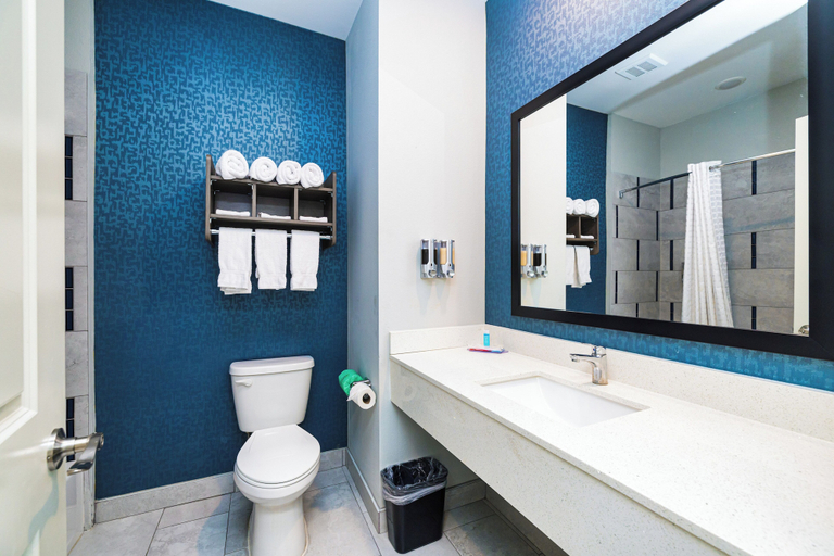Bathroom 5, Palace Inn Blue Laura Koppe Rd, Houston