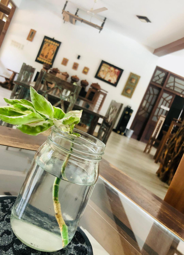 Food & Drinks 2, Saman Resort Yala, Thissamaharama