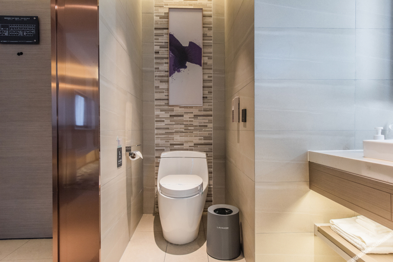 Bathroom 3, ラベンダーホテル(), Chengdu