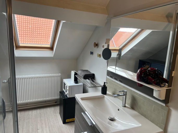 Bathroom 2, Cozy Boutique hotel-Guesthouse Leuven -self check in, Vlaams Brabant