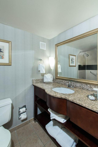 Bathroom 4, Wyndham Independence, Cuyahoga