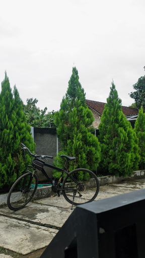 Others 5, Penginapan Omah Kampung, Bantul