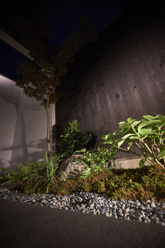 Others 4, Nishijinkita-ajisai, Kyoto