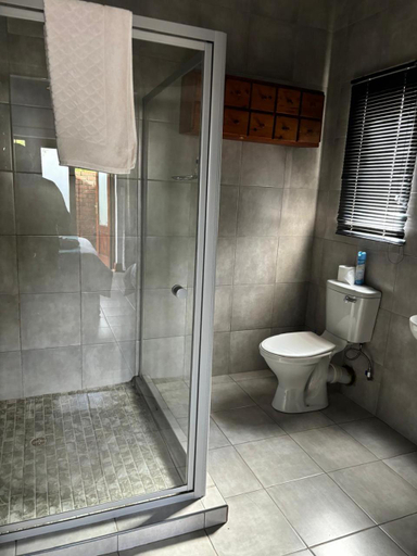 Bathroom 3, Spring Day BB, Gert Sibande