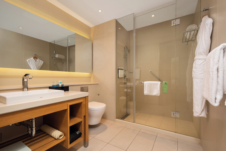 Bathroom 5, Hyatt Place Yinchuan Yuecaicheng, Yinchuan