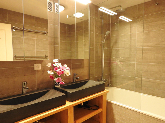 Bathroom 3, Chalet in La Norma near Ski Lift, Savoie