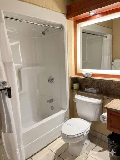 Bathroom 4, Hotel L'Oie des neiges, Desjardins