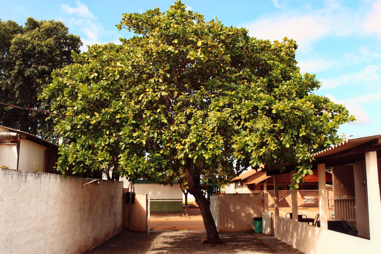 Property grounds 3, Pousada Árvore da Vida, Bonito