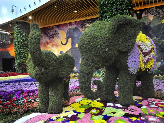 Others 4, Howard Johnson Flower City Hotel Kunming, Kunming