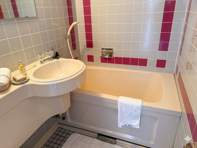 Bathroom 4, rosortinn boulogne, Koumi