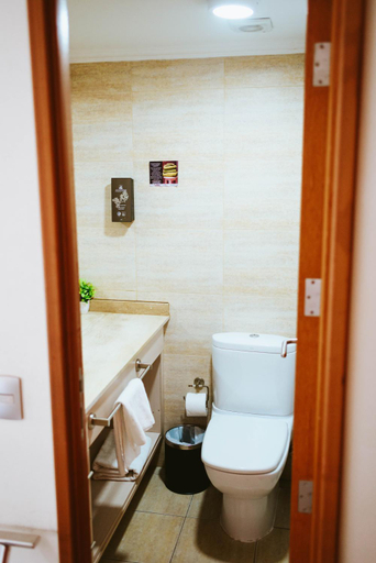 Bathroom, Apart Hotel Aragón, Cautín