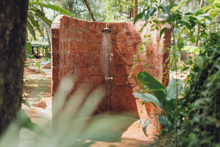 Property grounds, Botanique Goa, North Goa