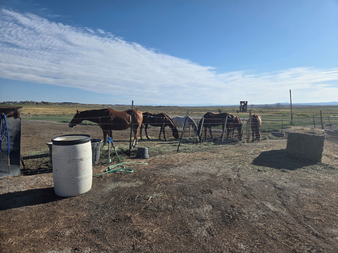 Horseback riding 5, HN-RANCH, Emery