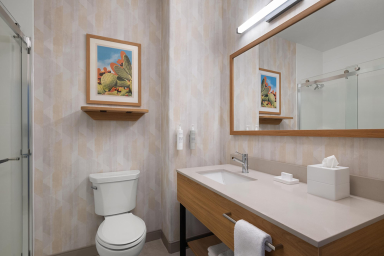 Bathroom 4, Hampton Inn & Suites Ontario, San Bernardino