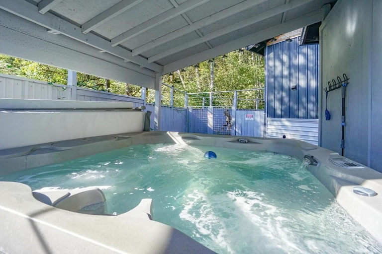 Outdoor spa tub, LifeSize Dinos 4BR HotTub, Skamania