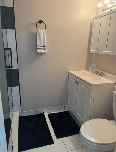 Bathroom 5, 2 BR 2 BA Condo, Brevard