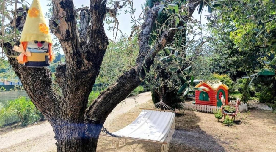Playground, Edera Room and Apartment, Fermo