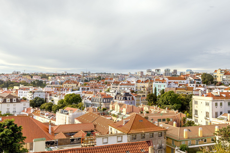 Miscellaneous 3, Bairro Alto Garden IV by Homing, Lisbon