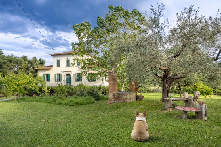 Others 5, Breakfast-1844 Frescoes -Panoramic Solarium- Centuries Old-Park - Villa Mastrangelo, Ascoli Piceno