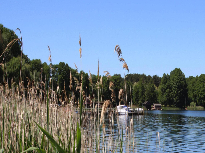 Others 5, Ferienhaus am Vilzsee, Mirow, Mecklenburgische Seenplatte