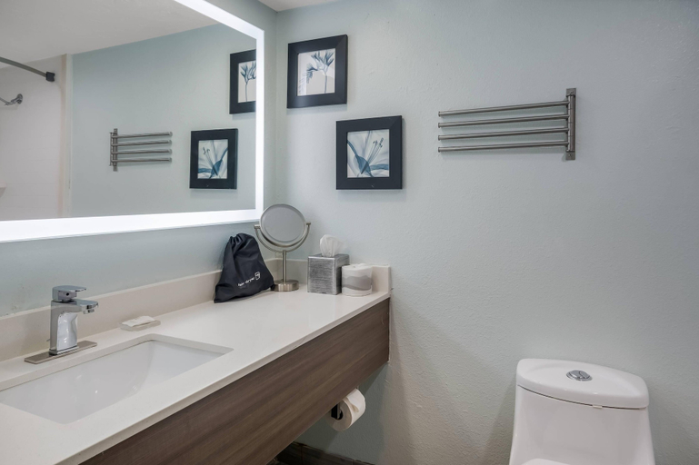 Bathroom 3, Radisson Hotel Grand Rapids Riverfront, Kent