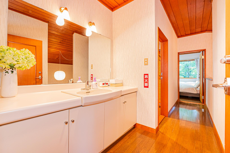 Bathroom 3, JOYSOUNDカラオケとBBQ、麻雀セット完備、大自然に囲まれ断崖の上に建てられた大型貸し別荘, Tsumagoi