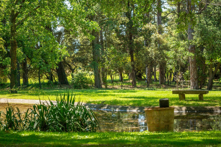 Others 5, Chateau Juvenal, Vaucluse