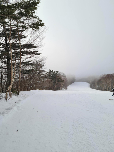 Snow and ski sports 4, Sanso On Snow, Nagano