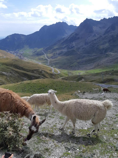 4, Gite Grand Tourmalet, Hautes-Pyrénées