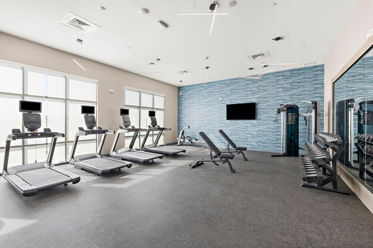 Fitness center 2, Hampton Inn By Hilton Ontario Airport, San Bernardino