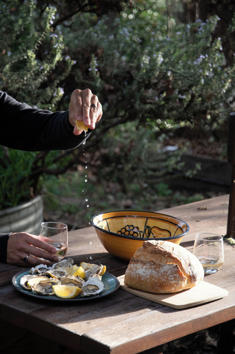 Food & Drinks 5, Anderson Valley Inn, Mendocino
