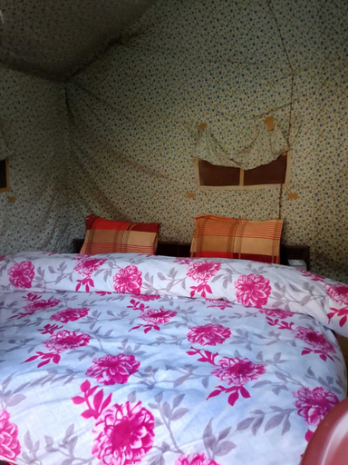 Room 2, River View Cafe & Camping, Kullu