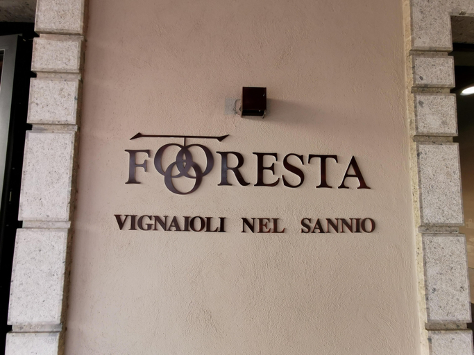 Exterior detail 4, B & B Foresta Vini, Benevento