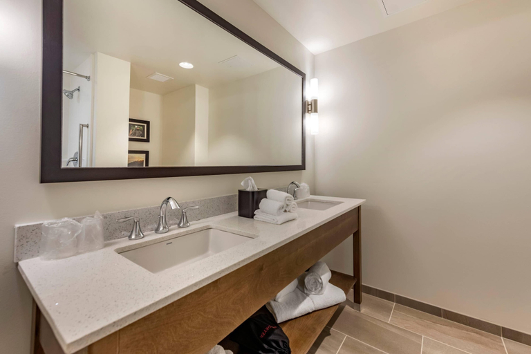 Bathroom 4, Comfort Inn & Suites Pittsburgh-Northshore, Allegheny