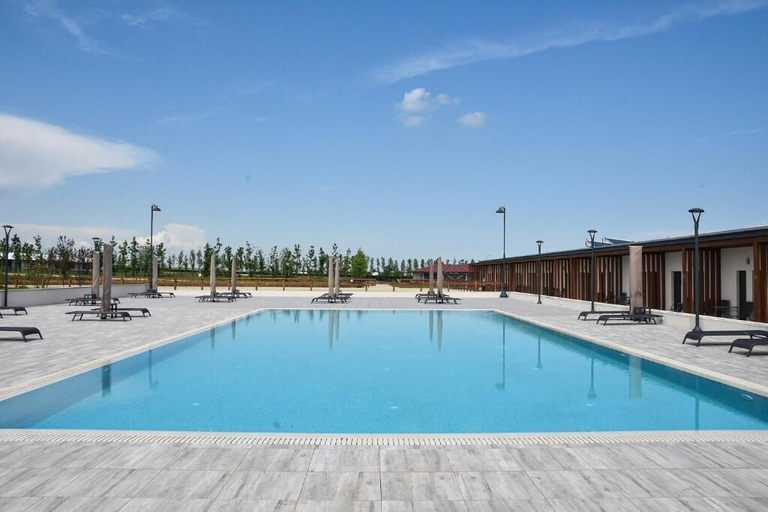 Pool 4, Black Sea Horses, Poarta Alba