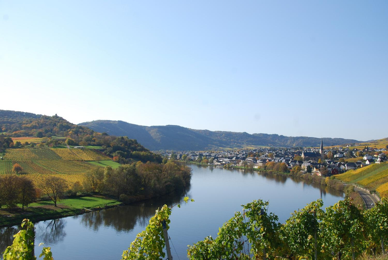 Others 5, Steinfelderhof, Bernkastel-Wittlich