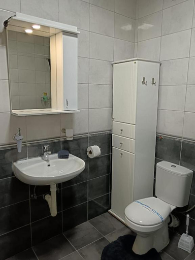 Bathroom 2, Apartment Temerinska, Novi Sad