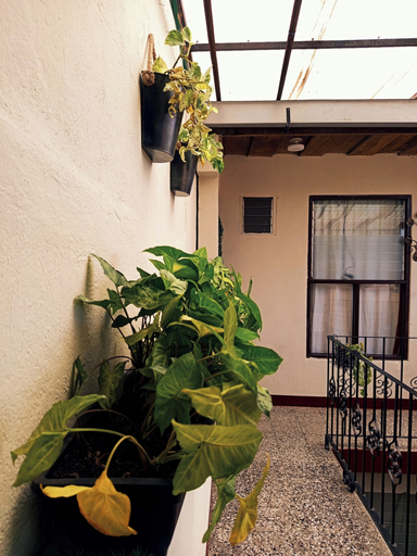 Exterior detail 3, Emmanuel House GT, Antigua Guatemala