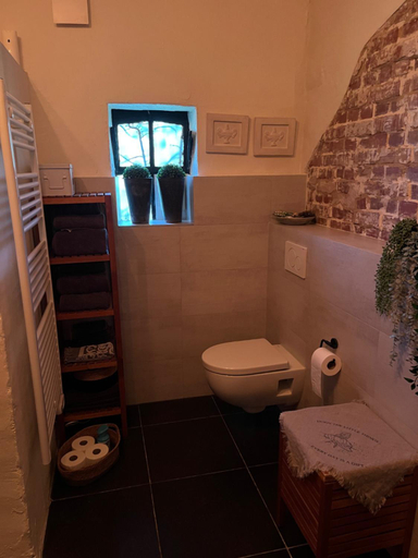Bathroom, Vakantiewoning Fruitschuur de Morel, Venlo