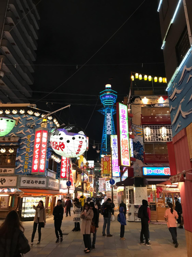 Others 3, Japanese Loft! Easy access to Namba/Dotonbori/KIX!, Osaka