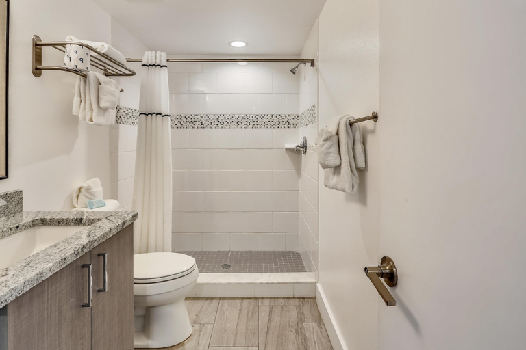Bathroom 4, Oceana 202 West, Pinellas