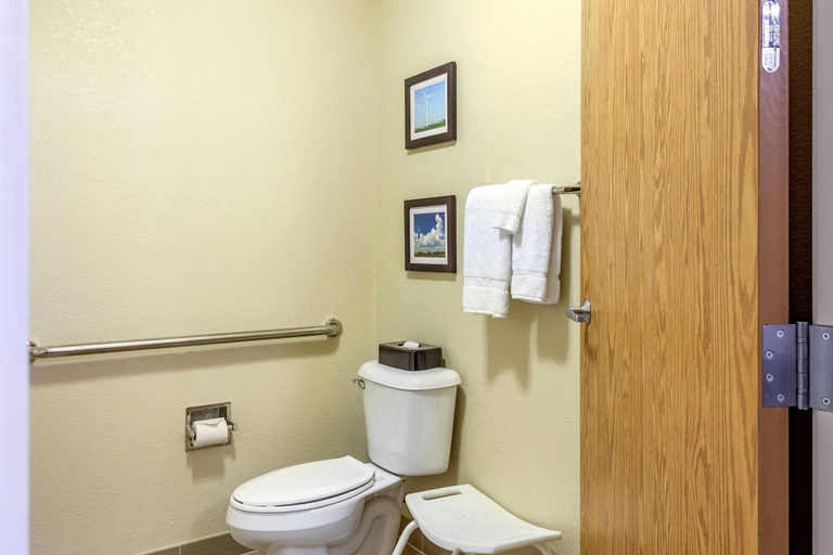 Bathroom 3, Comfort Inn DeKalb - University Area, De Kalb