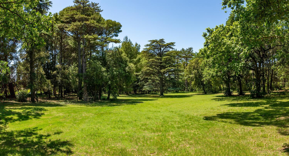 Others 5, Château Juvenal, Vaucluse