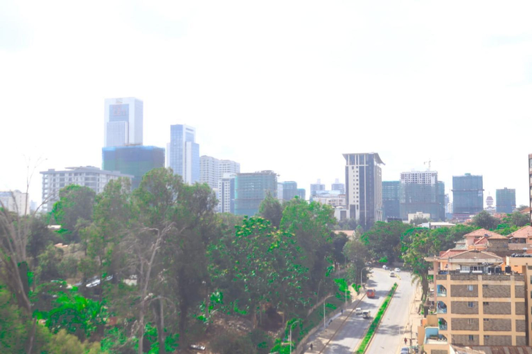Others 4, Emeli apartments, Starehe